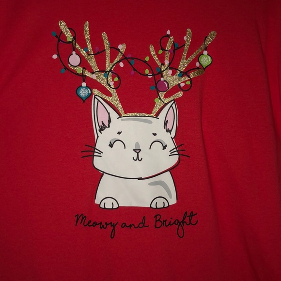 Secret Treasures Other - 🧜🏼‍♀️3 for $15 item!🧜🏼‍♀️woman’s nightshirt